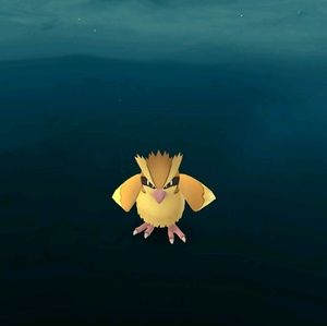 Meet your Posher, Jongil